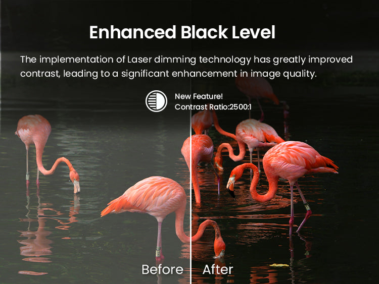 Dramatically improved contrast and black levels on AWOL Vision 4K projector, featuring laser dimming technology, exemplified by richer flamingo visuals.