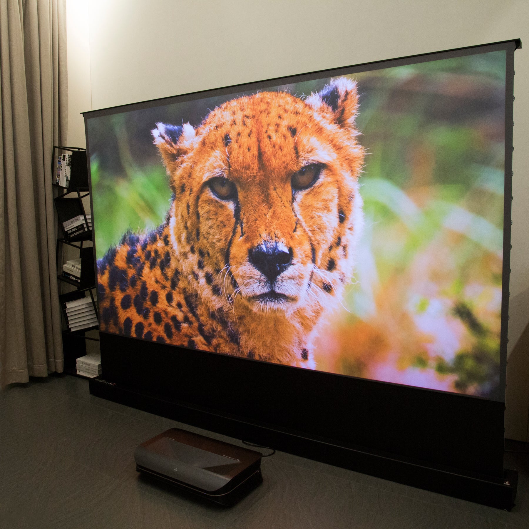 AWOL Vision projector displays a vivid close-up of a cheetah on a large screen, enhancing the home viewing experience with realistic wildlife imagery.