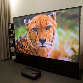 AWOL Vision projector displays a vivid close-up of a cheetah on a large screen, enhancing the home viewing experience with realistic wildlife imagery.