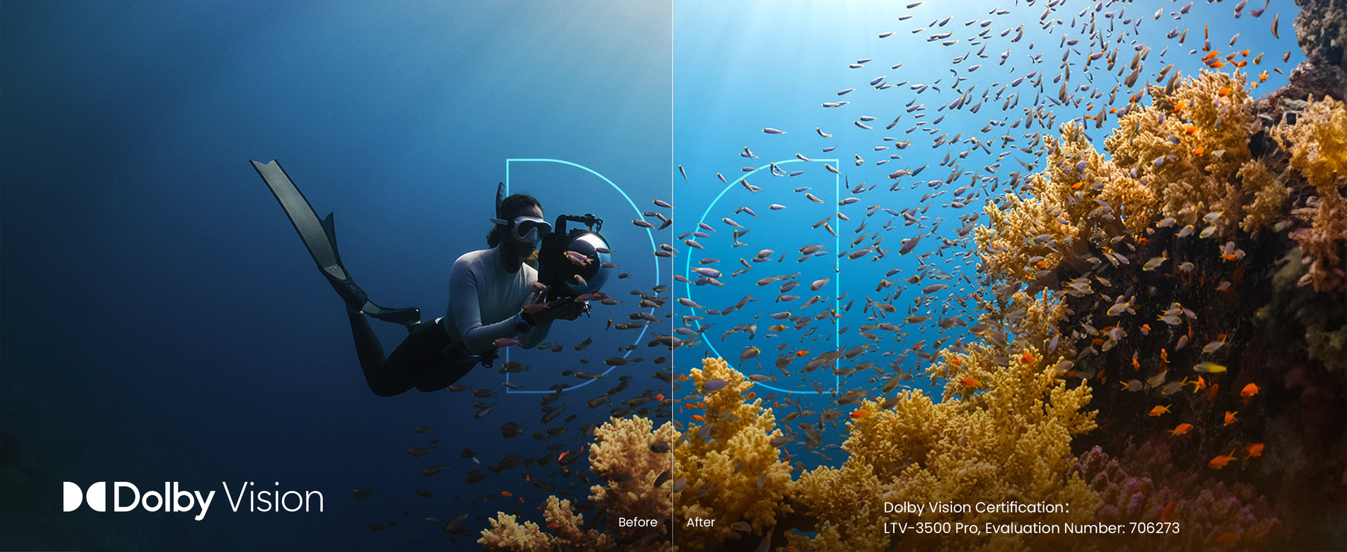 Explore the vivid depths of ocean life with AWOL Vision LTV-3500 Pro, the RGB UST projector with Dolby Vision and active 3D technology, perfect for immersive viewing.